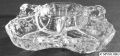 3400-0091_8in_3handle_3compt_relish_e_candlelight_crystal.jpg