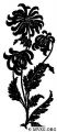 e523_chrysanthemum.jpg