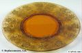 1920s-0244_10half_in_service_plate_(round-line)_d1047_gold_encrusted_wildflower_amber.jpg