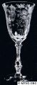 z_(3121)_3121_goblet_10oz_e_rosepoint_crystal.jpg